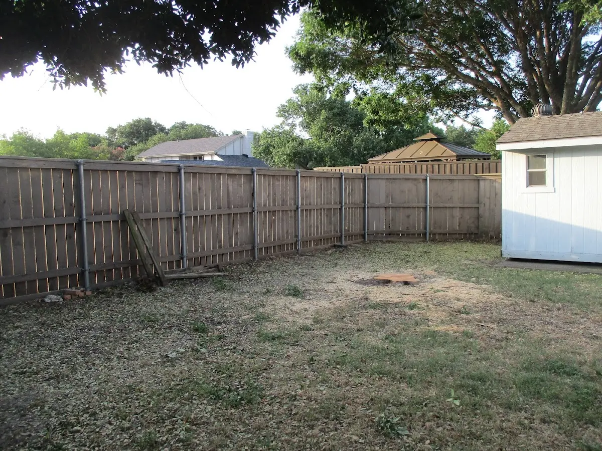 Cleared yard after professional tree removal in Glenoma