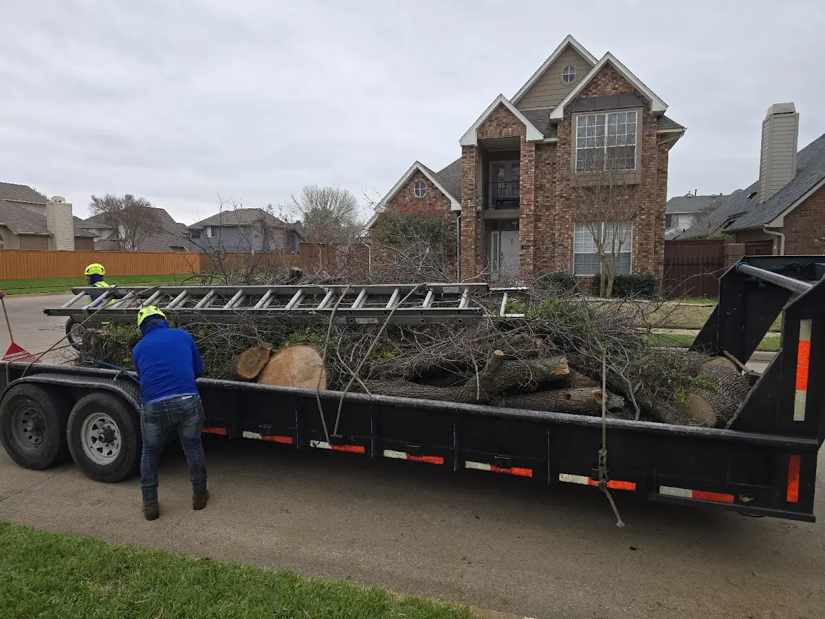 Expert Tree Fertilization with proper safety equipment in Glenoma